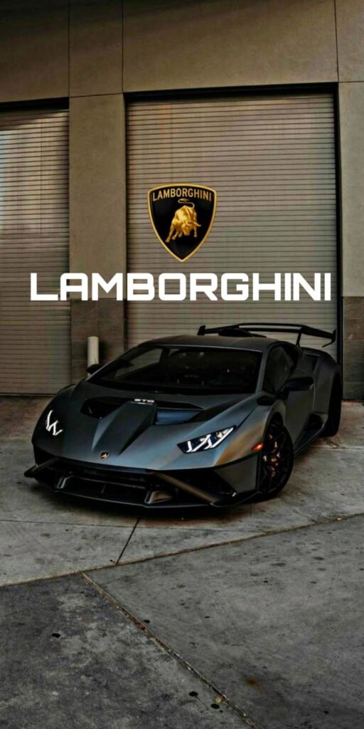 Color and Typography in the Cross and Snake Logo