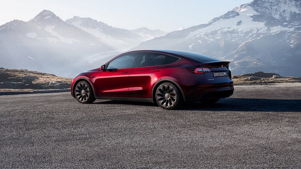 Customer Reviews and Real-World Experiences