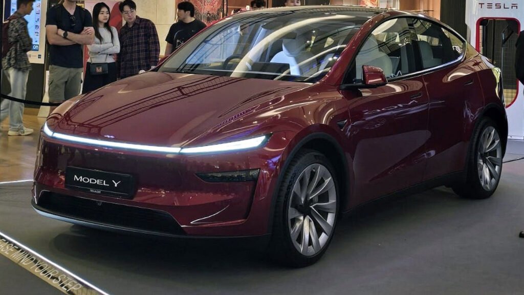 Interior and Comfort Features of Model Y
