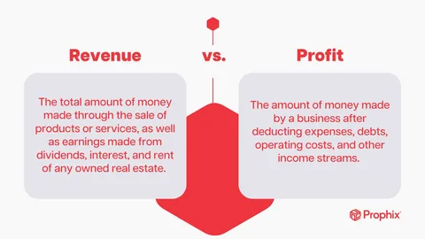 Revenue in Different Contexts: Governments and Non Profits