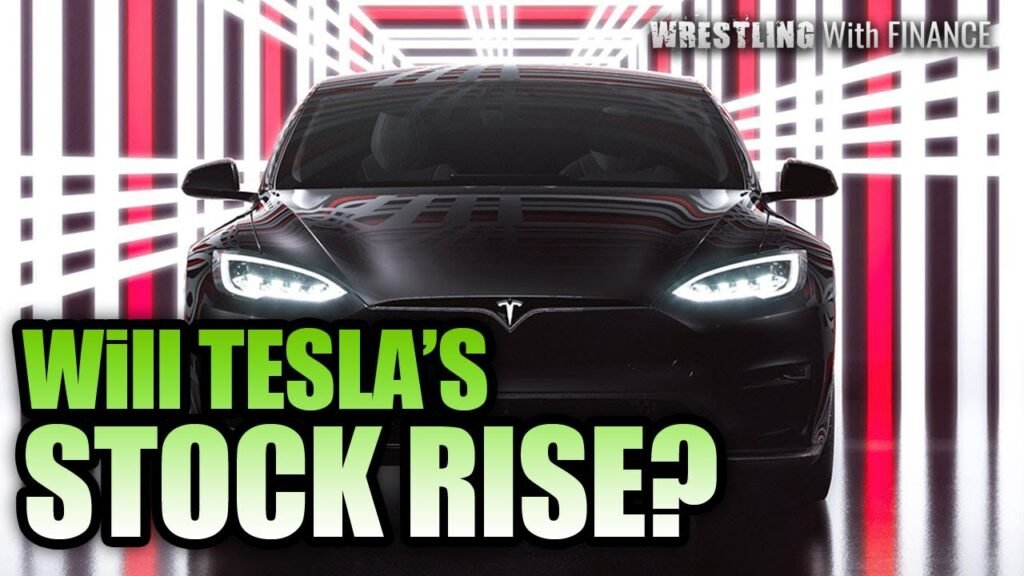 Risks and Volatility in Tesla Stock Price