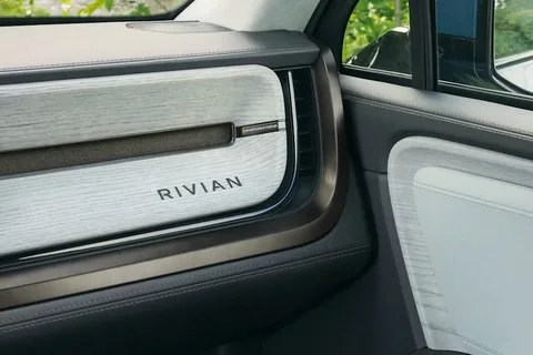 Rivion in the global EV market