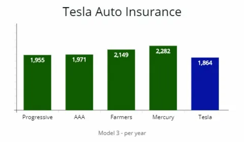 Tesla Insurance Warranty and Maintenance in Raleigh