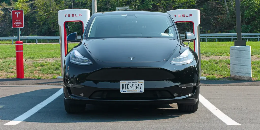 Why Do People Search “Tesla Unidade” on Google?