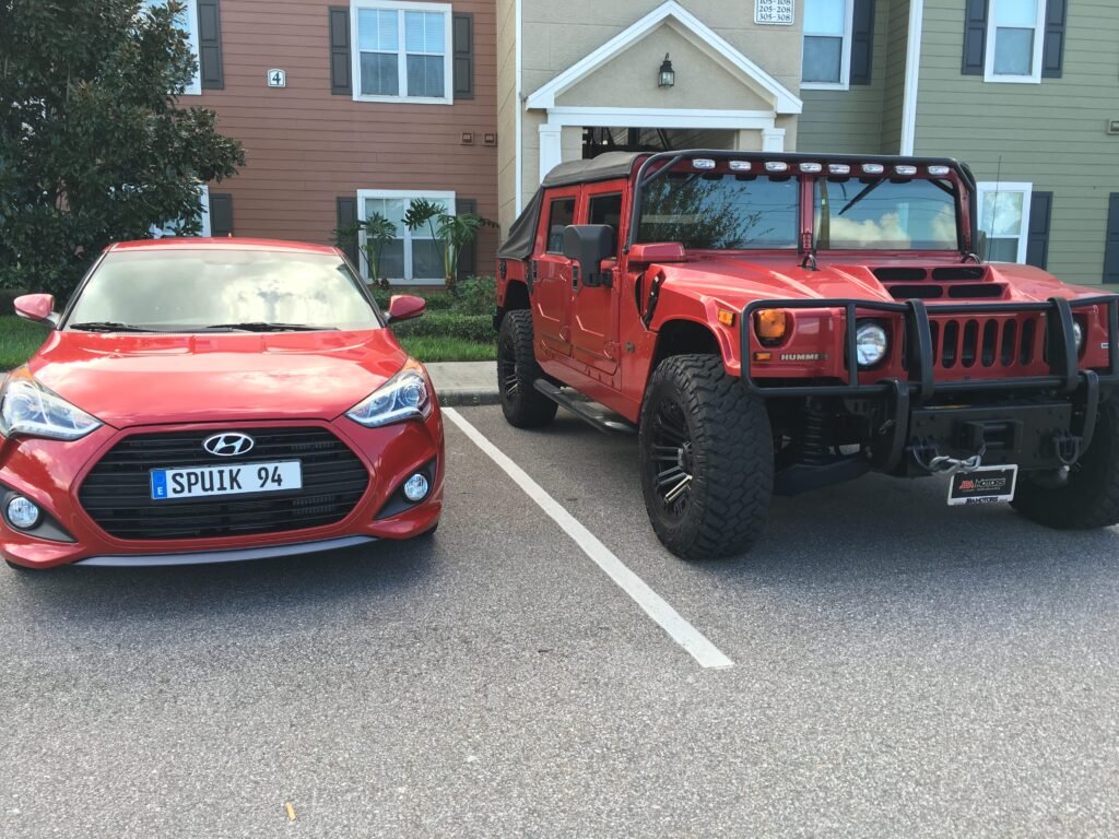 r Cats Compared to Other Cat Communities